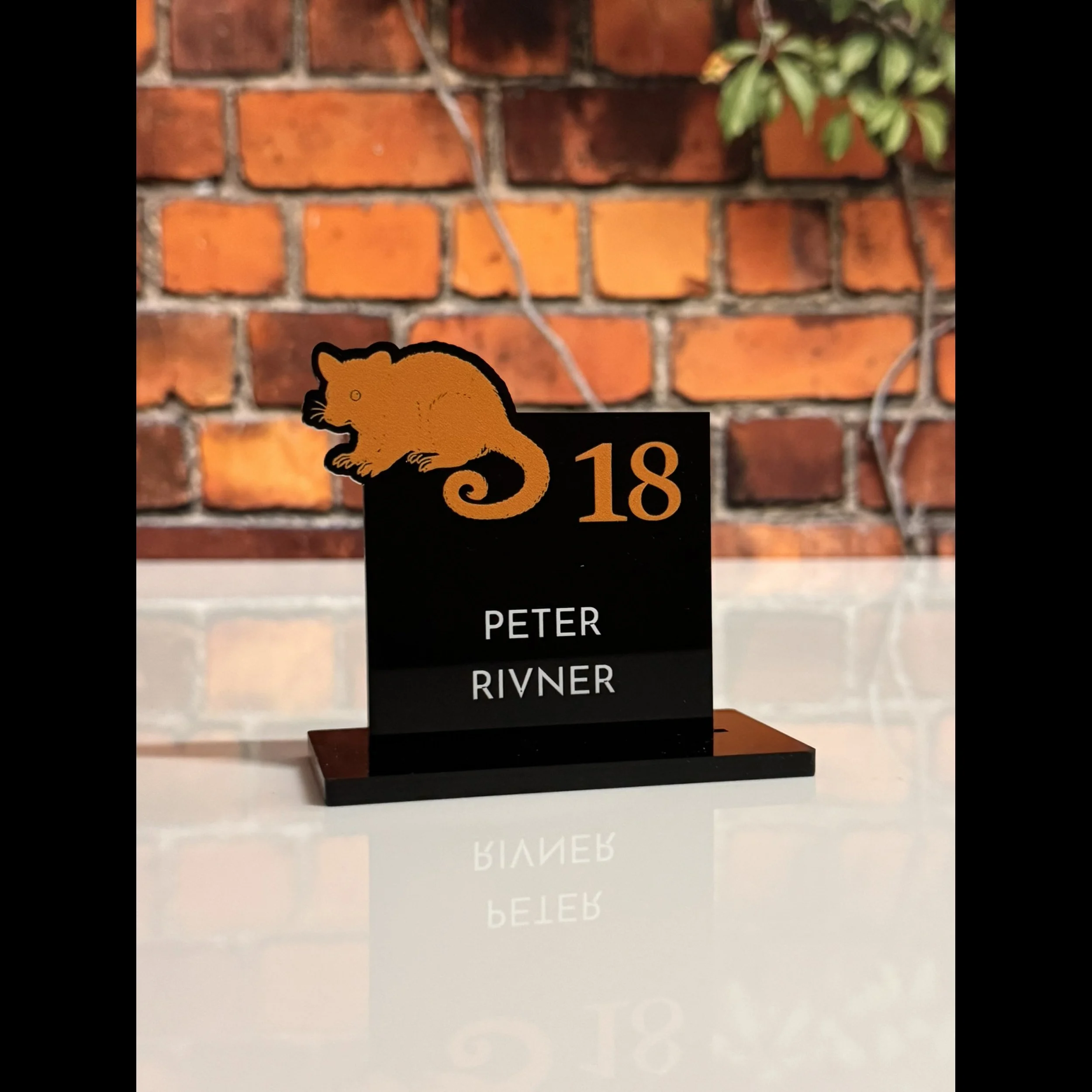 Aussie Antechinus Place Card.jpg