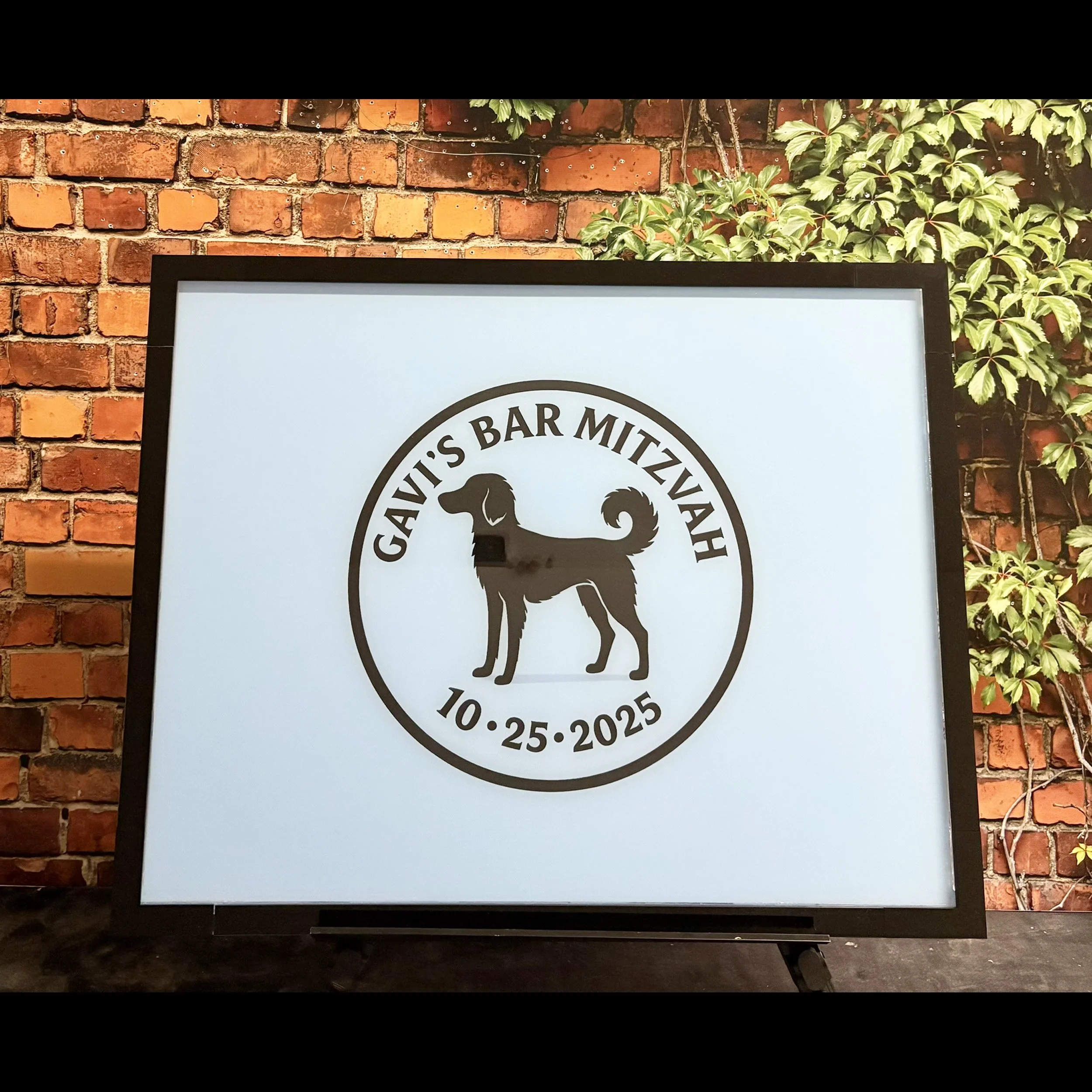 Gavi Spaniel Drop Box Board Empty.jpg