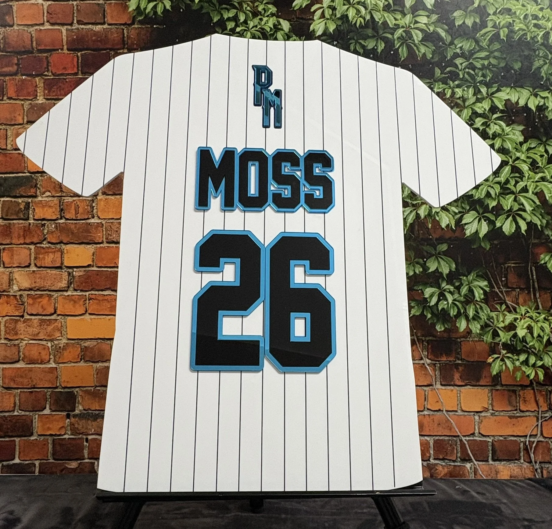 Pinstriped Baseball jersey sign in board_White, blue, black_SPorts.JPEG