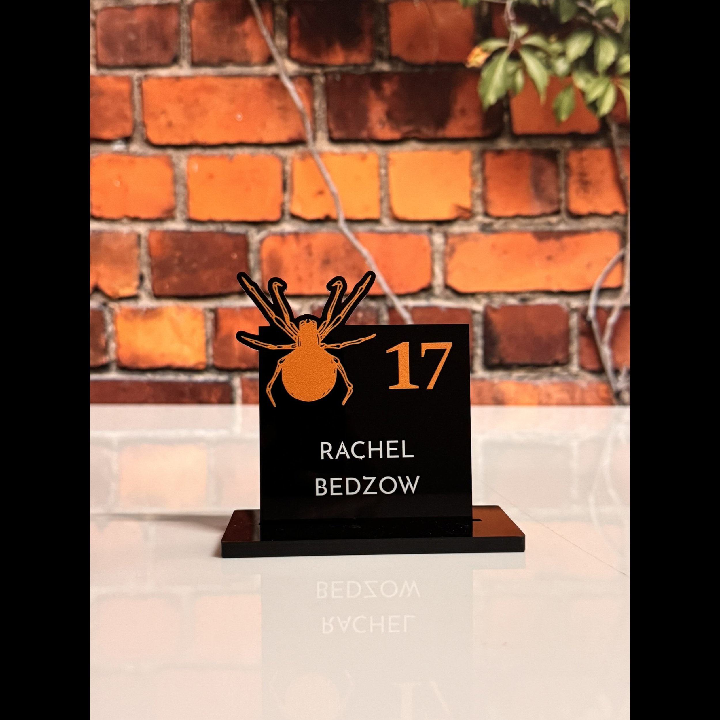 Aussie Spider Place Card.jpg