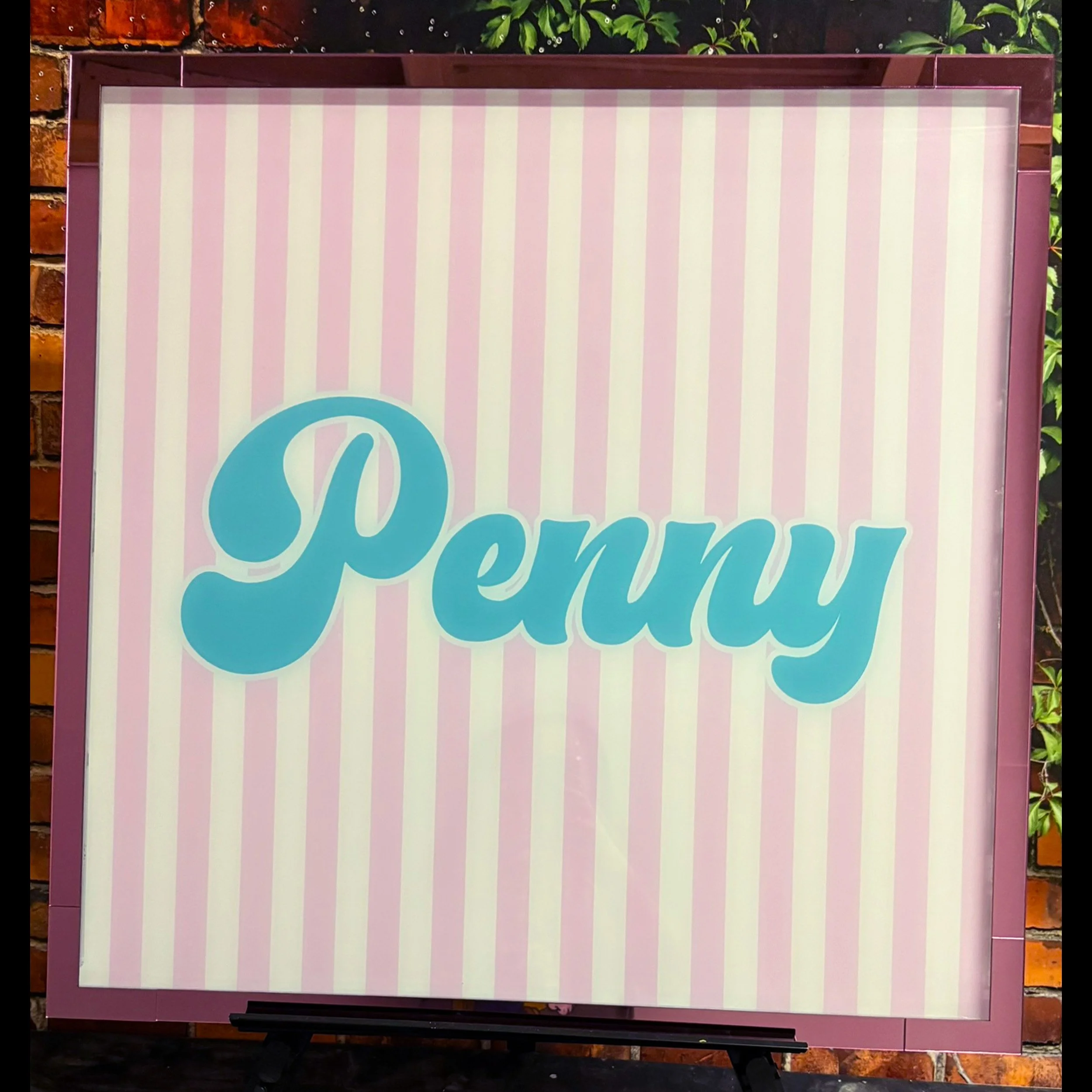 Penny Stripes & Balloon Dog Drop Box Empty.jpg