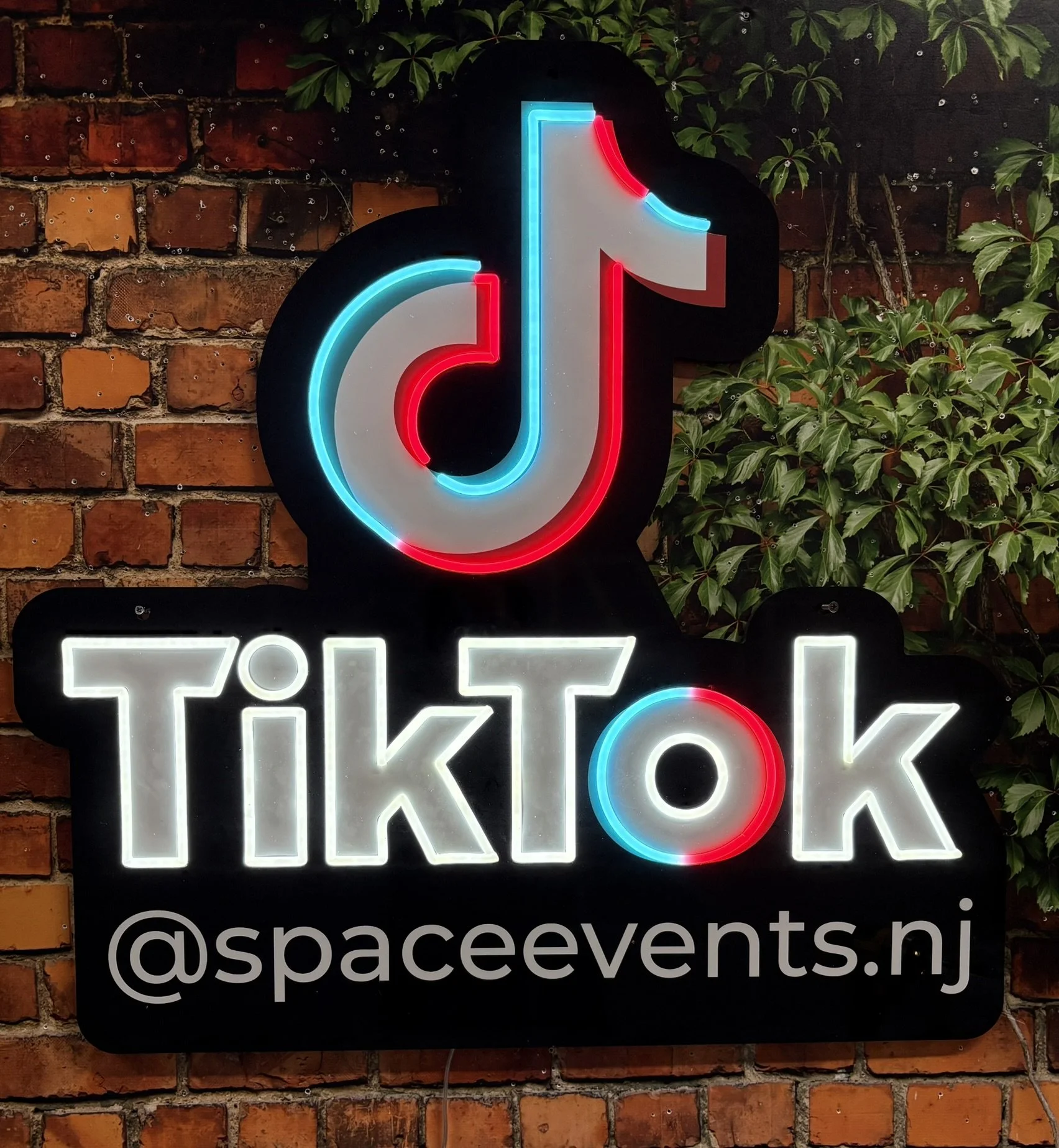 TikTok neon sign_Corporate_Social Media.JPEG