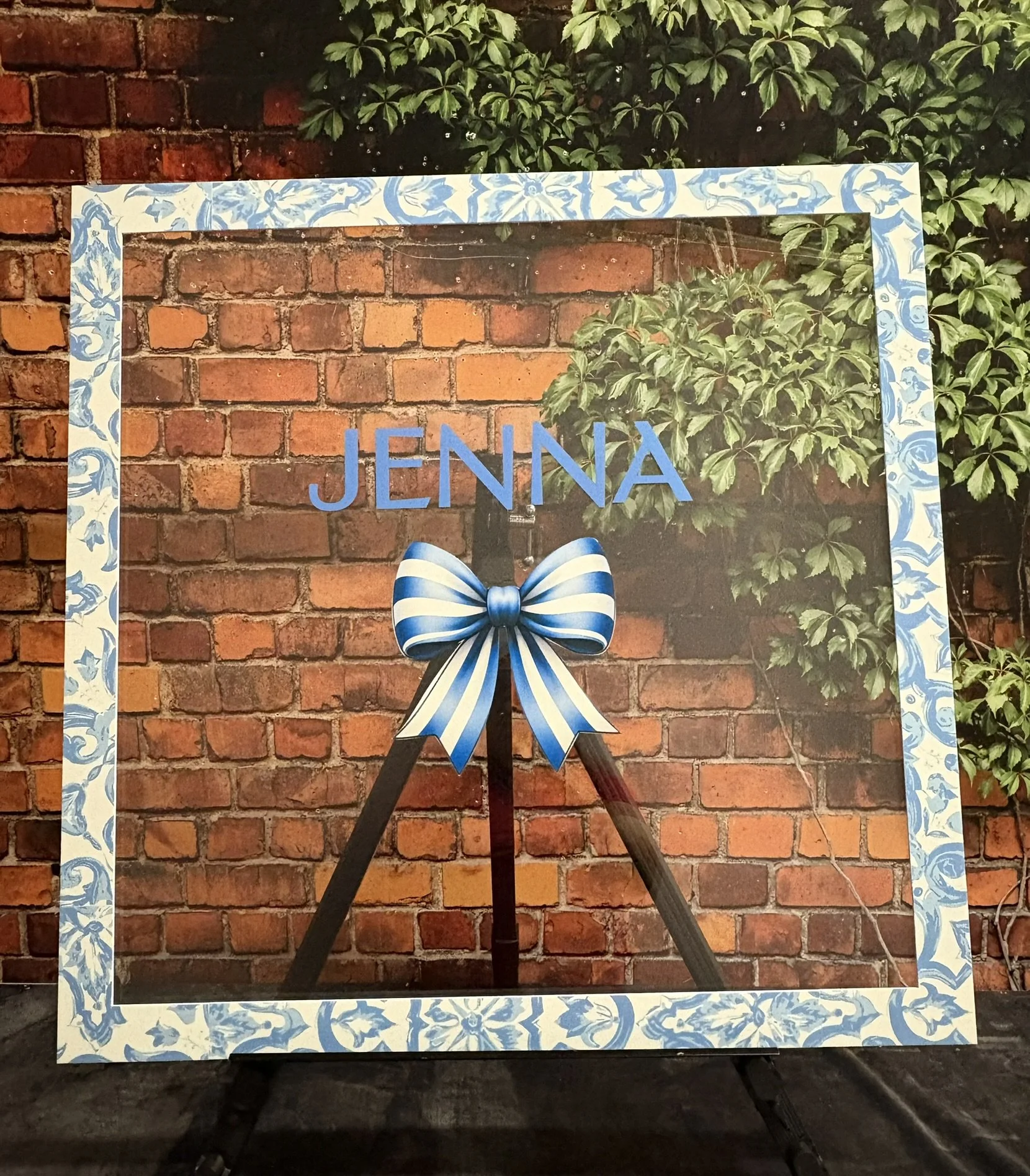 Jenna_Bow_Blue and white_Pattern_Paisley_Bat.JPEG
