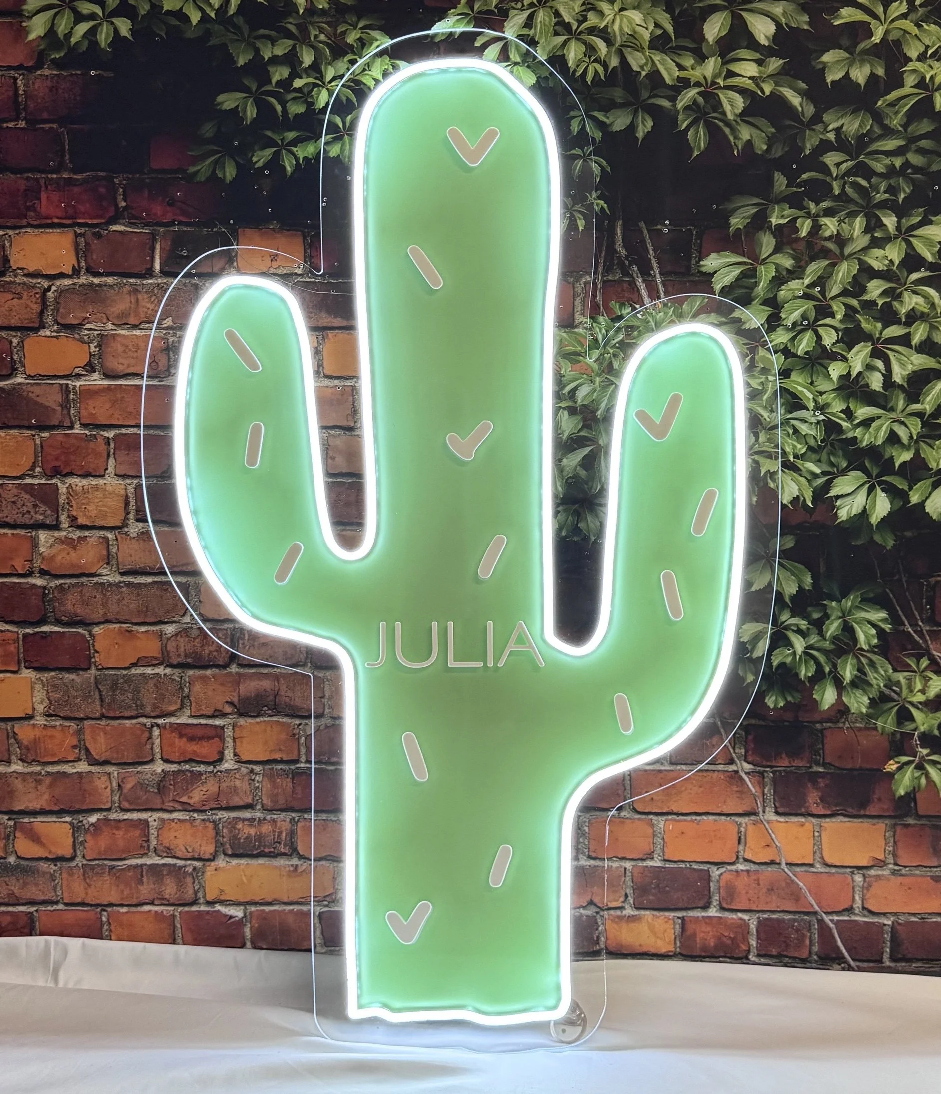 Cactus copy.jpg