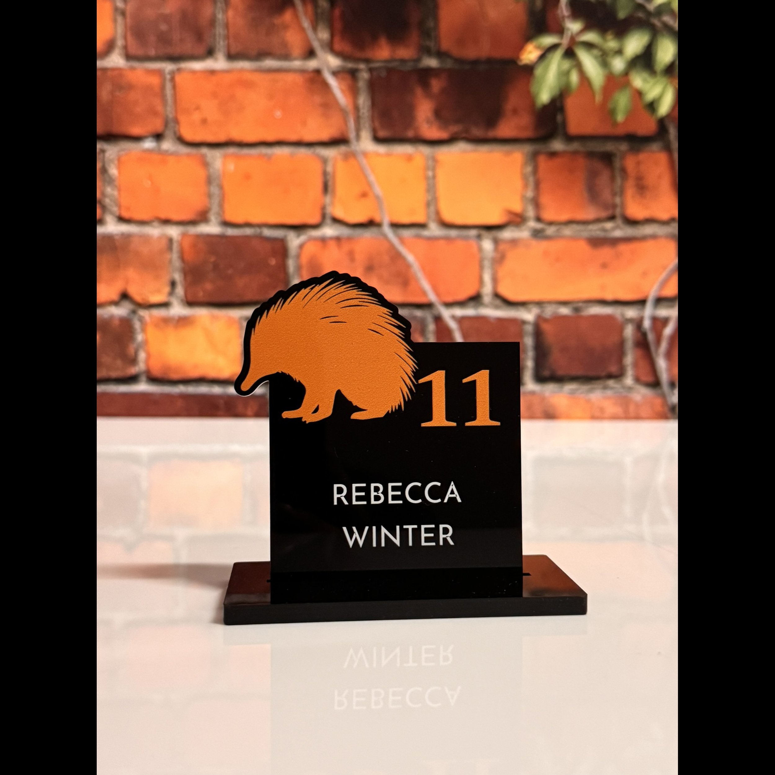 Aussie Echidna Place Card.jpg