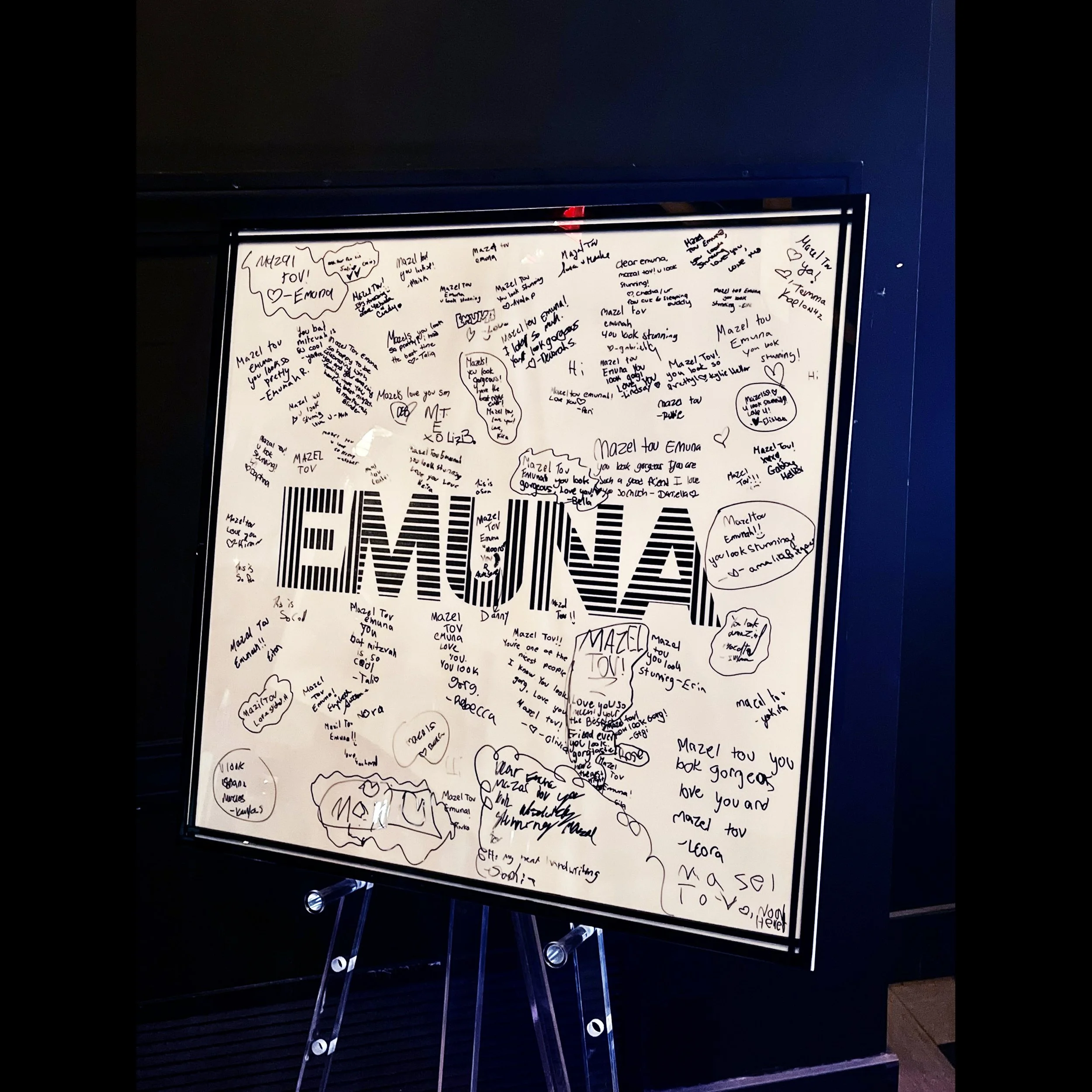 Emuna Black and White Stripes Board Signed.jpg