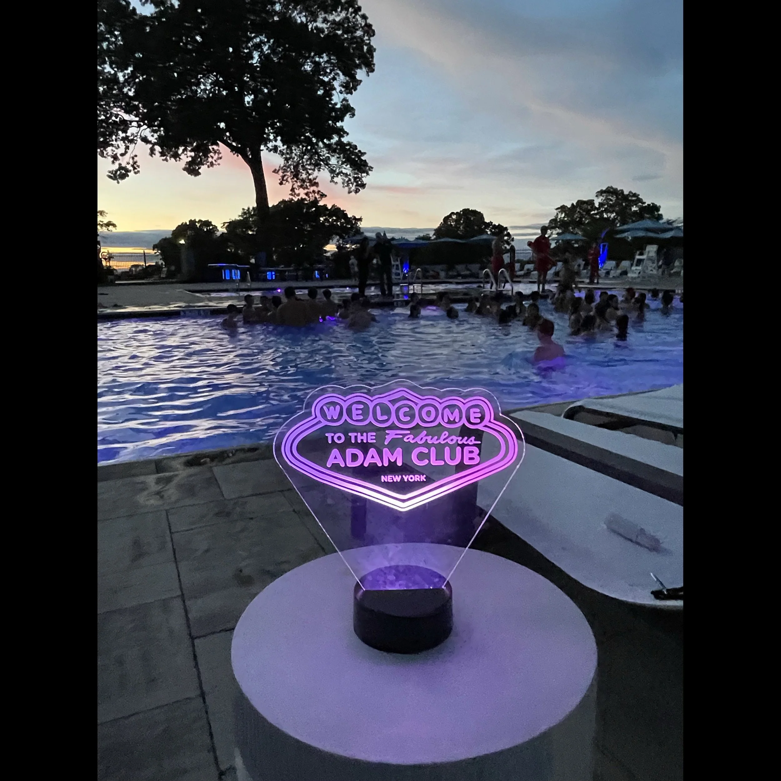 Adam Club Purple Centerpiece.jpg