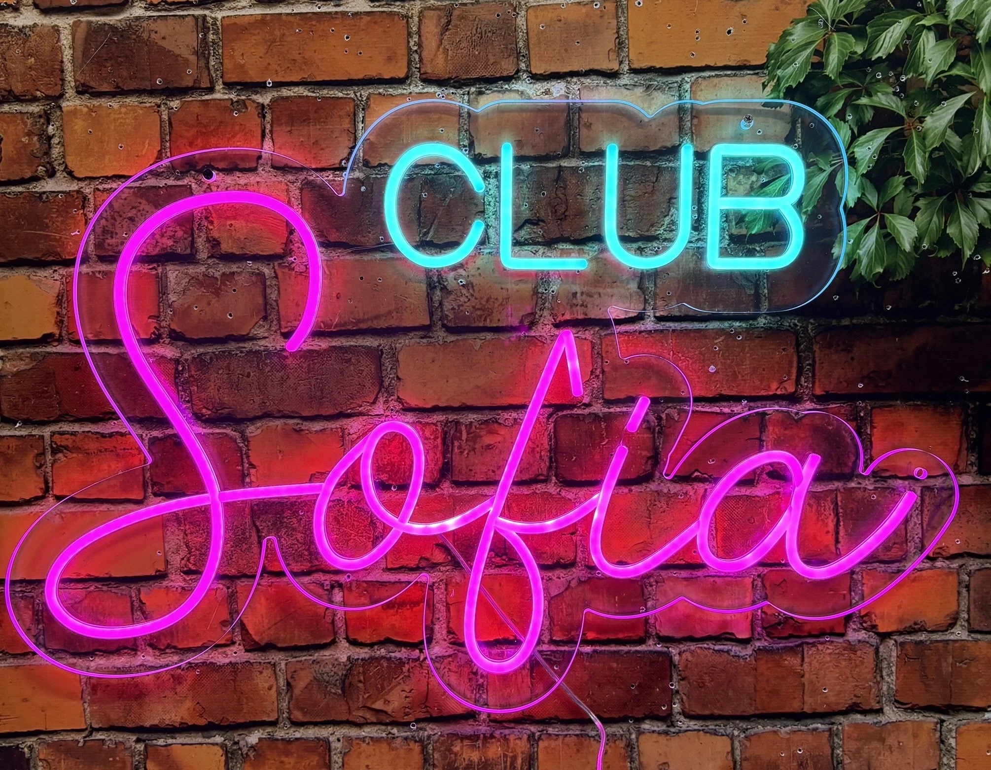 CUstom name neon sign_Script_Pink and blue_Bat.JPEG