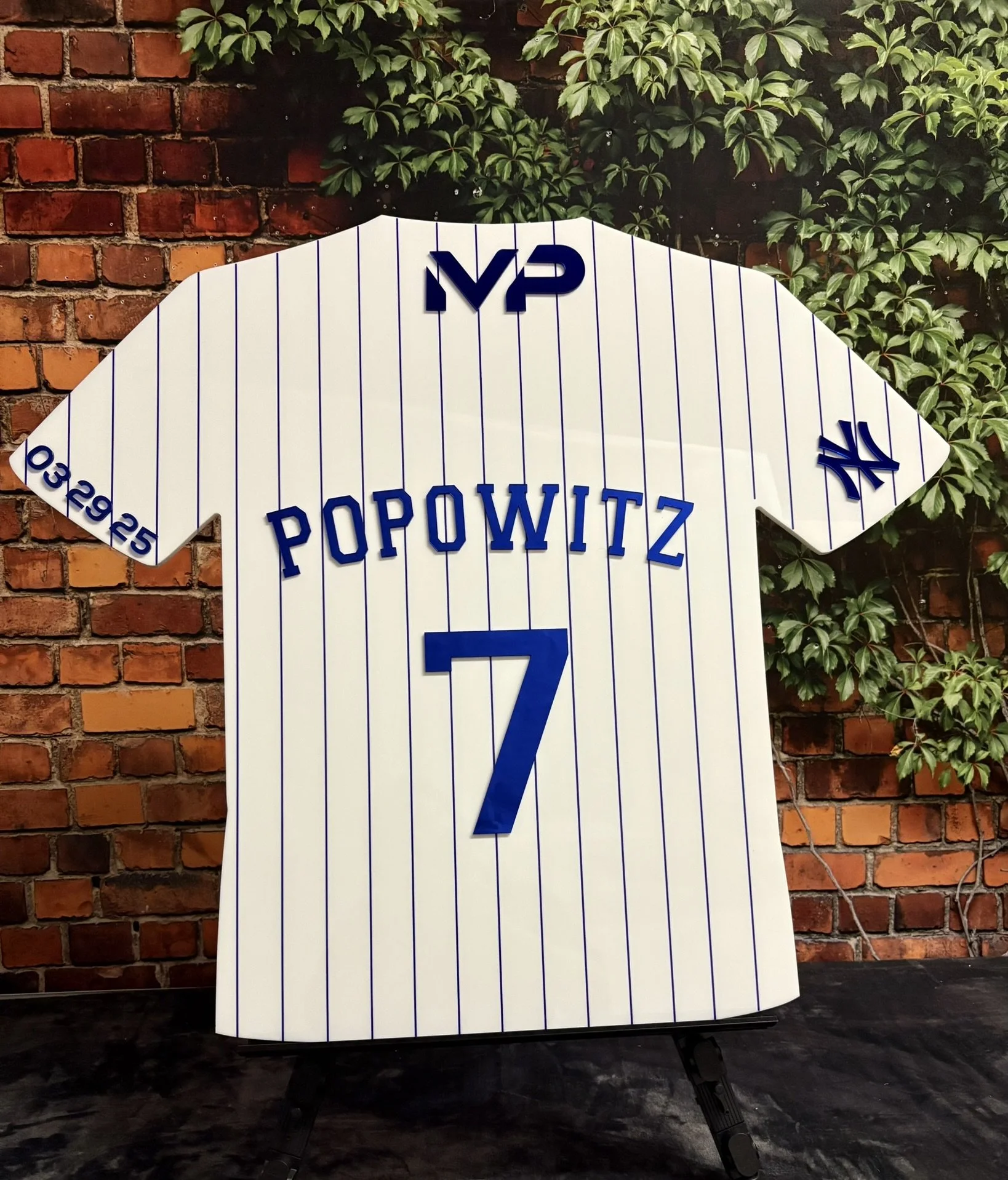 Striped Baseball Jersey_Sports_Blue Mirror_Sign In Board.JPEG