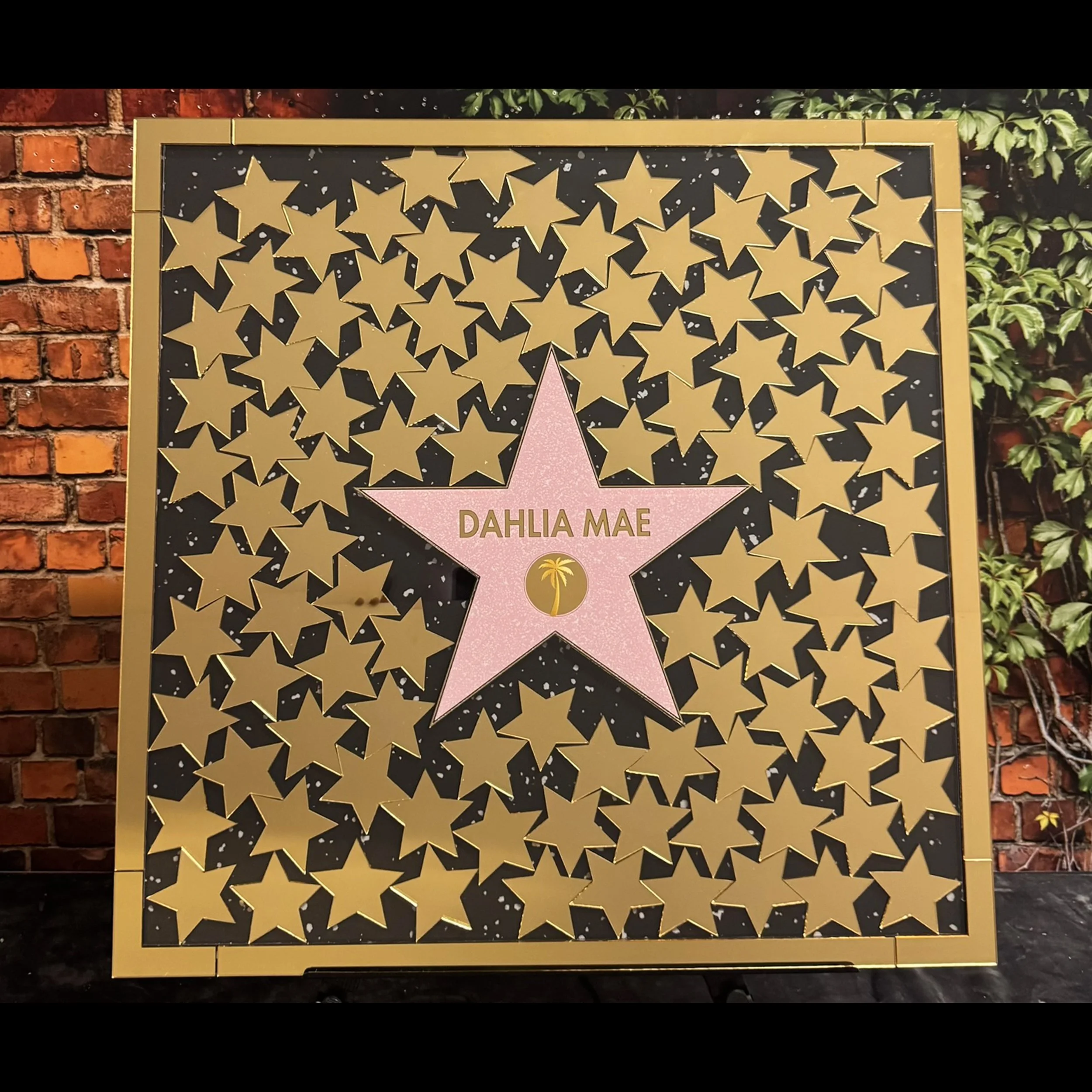 Dahlia Mae Hollywood Star Walk of Fame Drop Box Filled.jpg