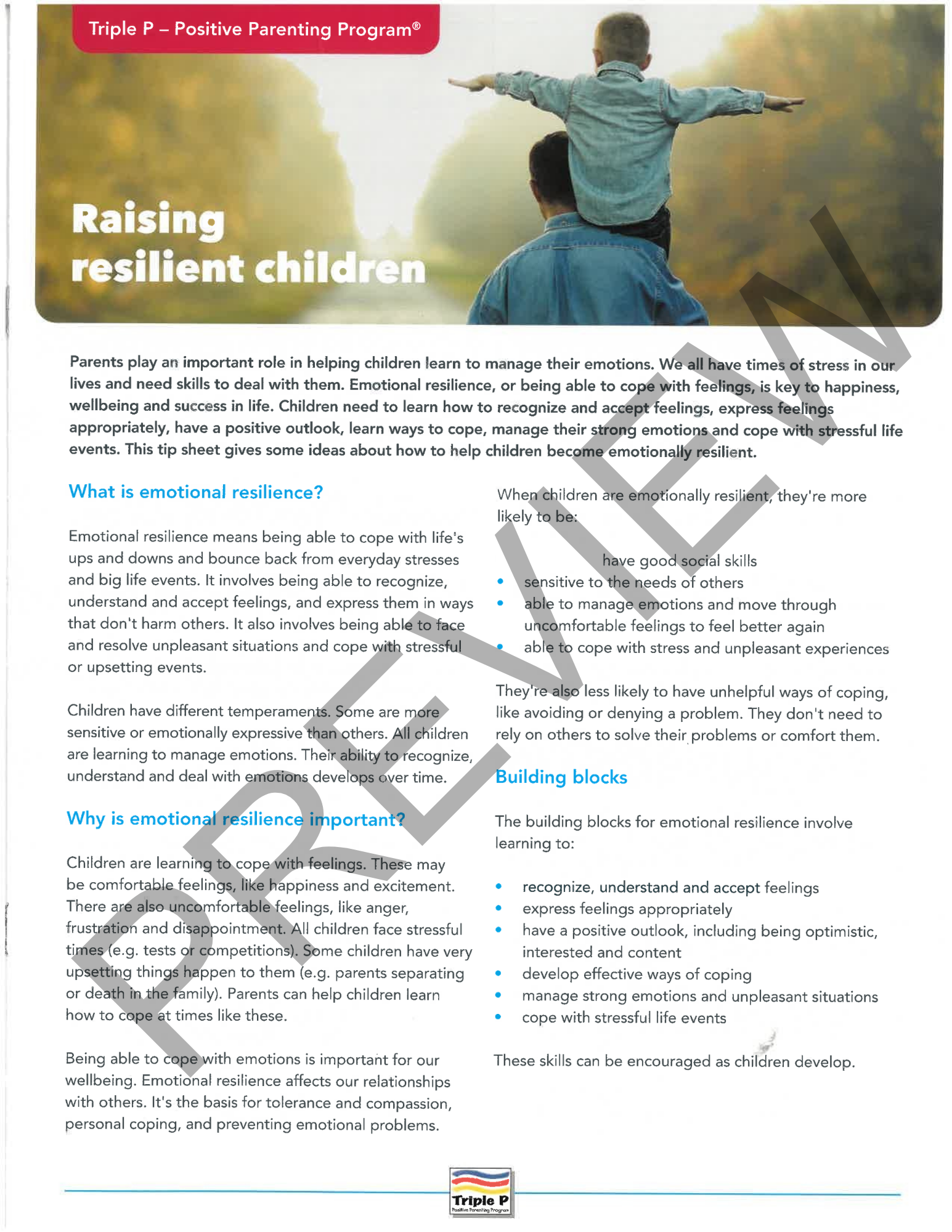 Selected Seminar Series (0-12): Raising Resilient Children