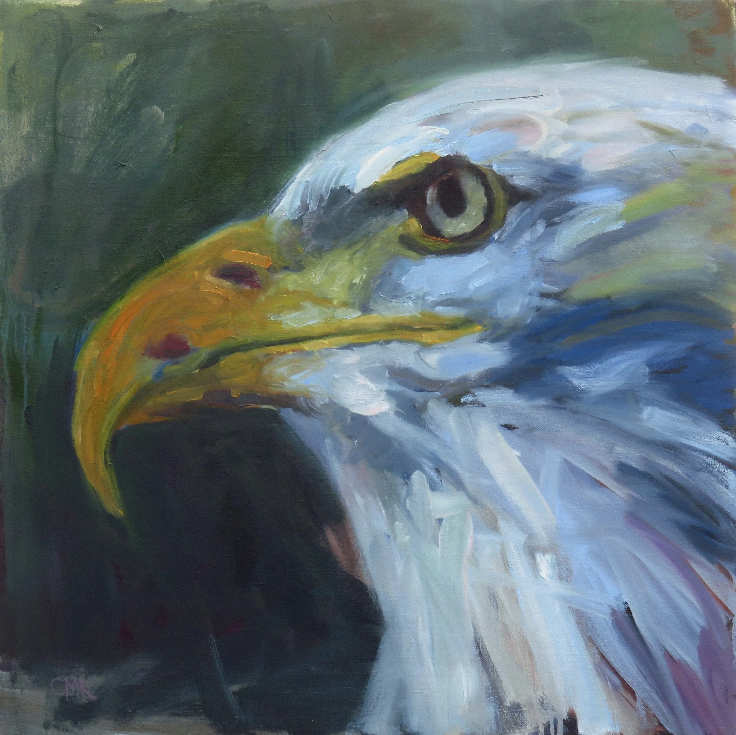 Bald Eagle  24" x 24" oil on canvas