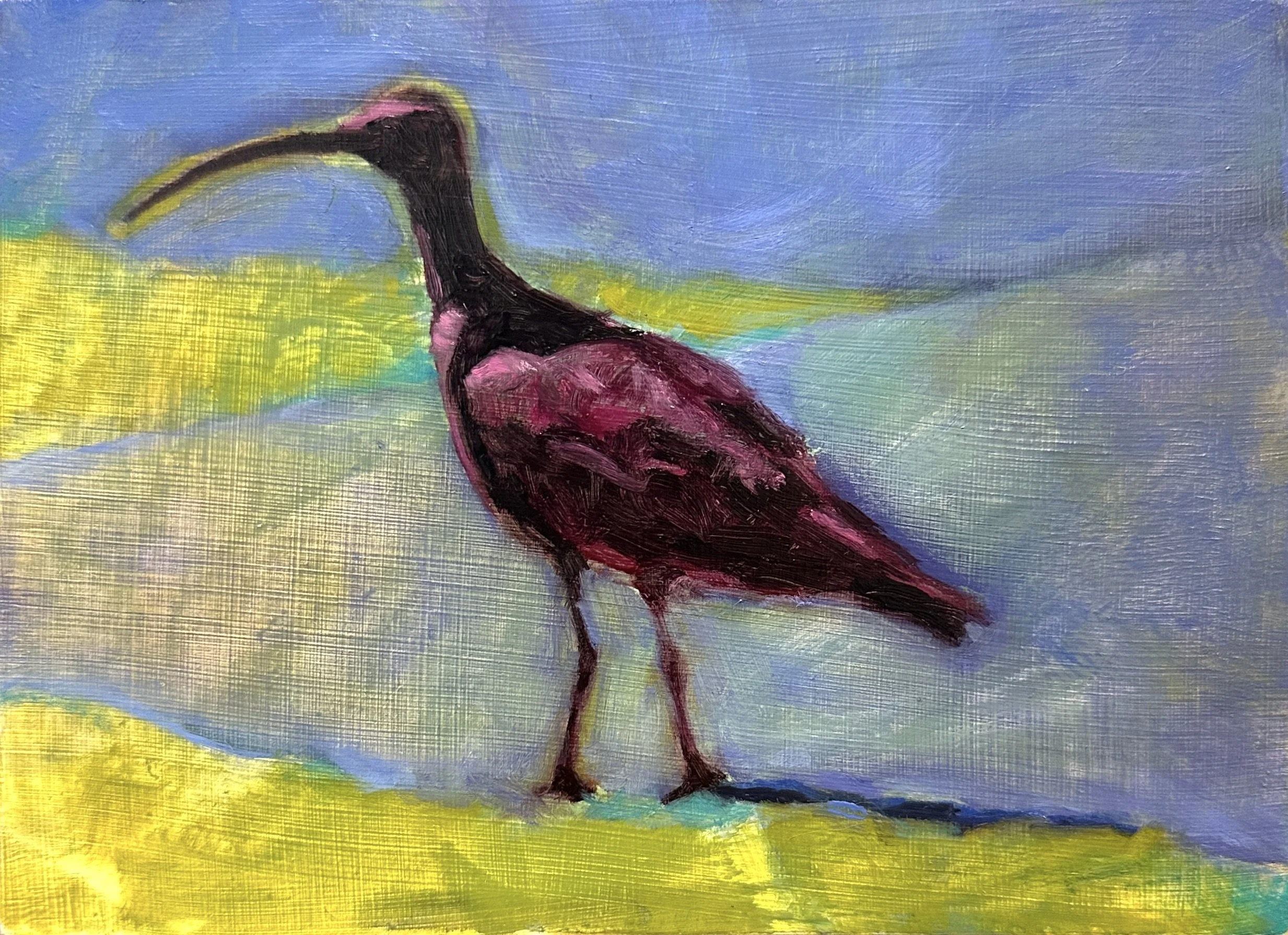 Long-billed Curlew 1,   5" x 7"  oil on wood panel