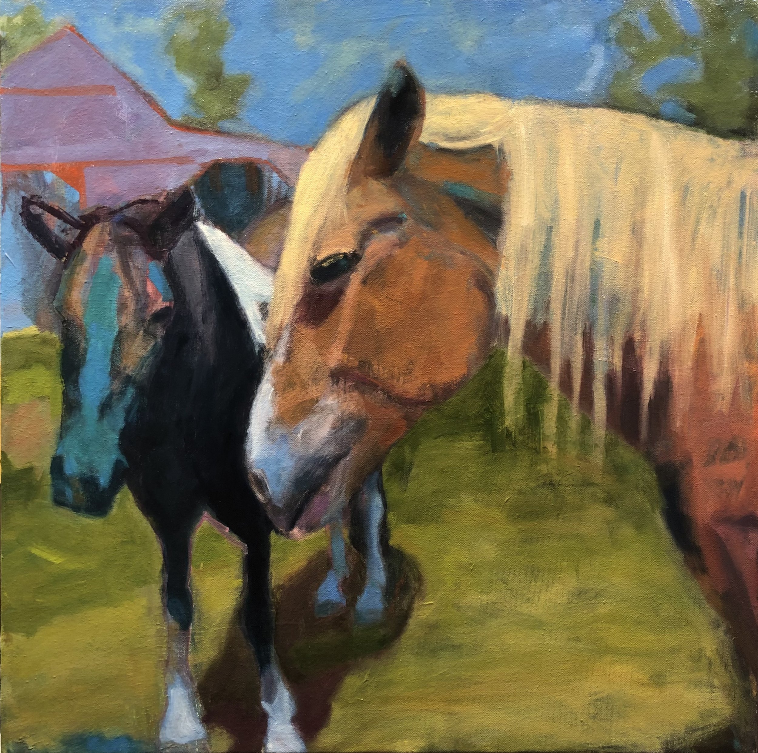 Pink Barn  24" x 24"  oil on canvas