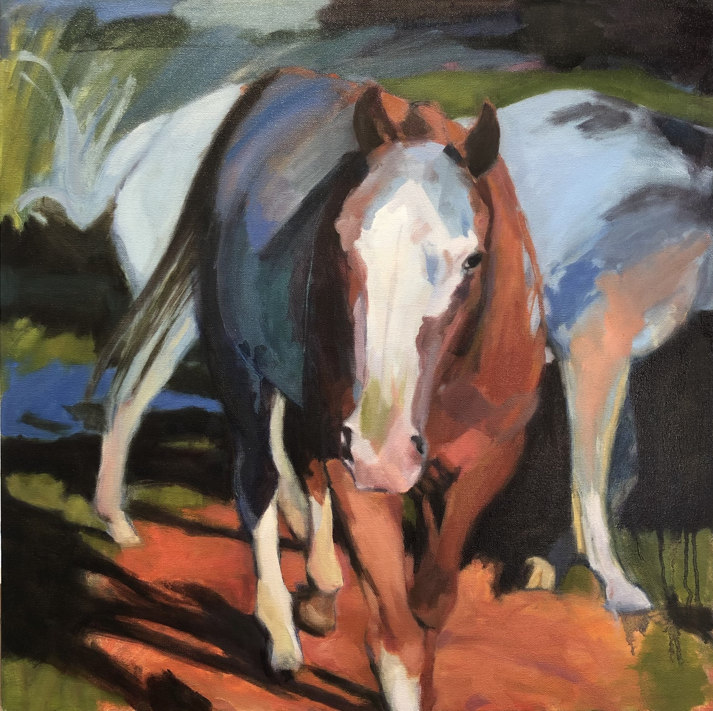 Chestnut and a Gray  24" x 24"  oil on canvas