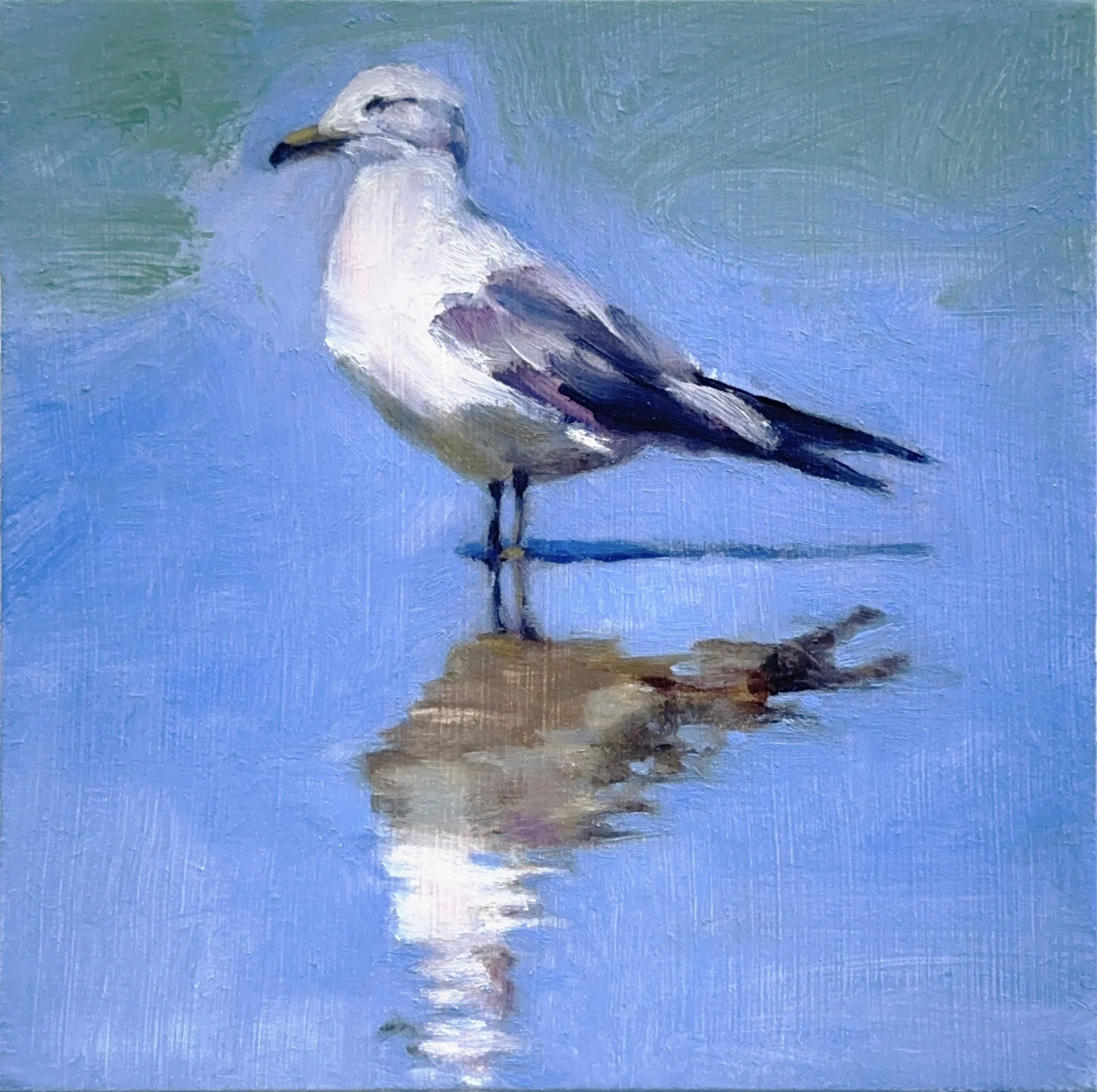 Gull  5" x 5" oil on wood panel