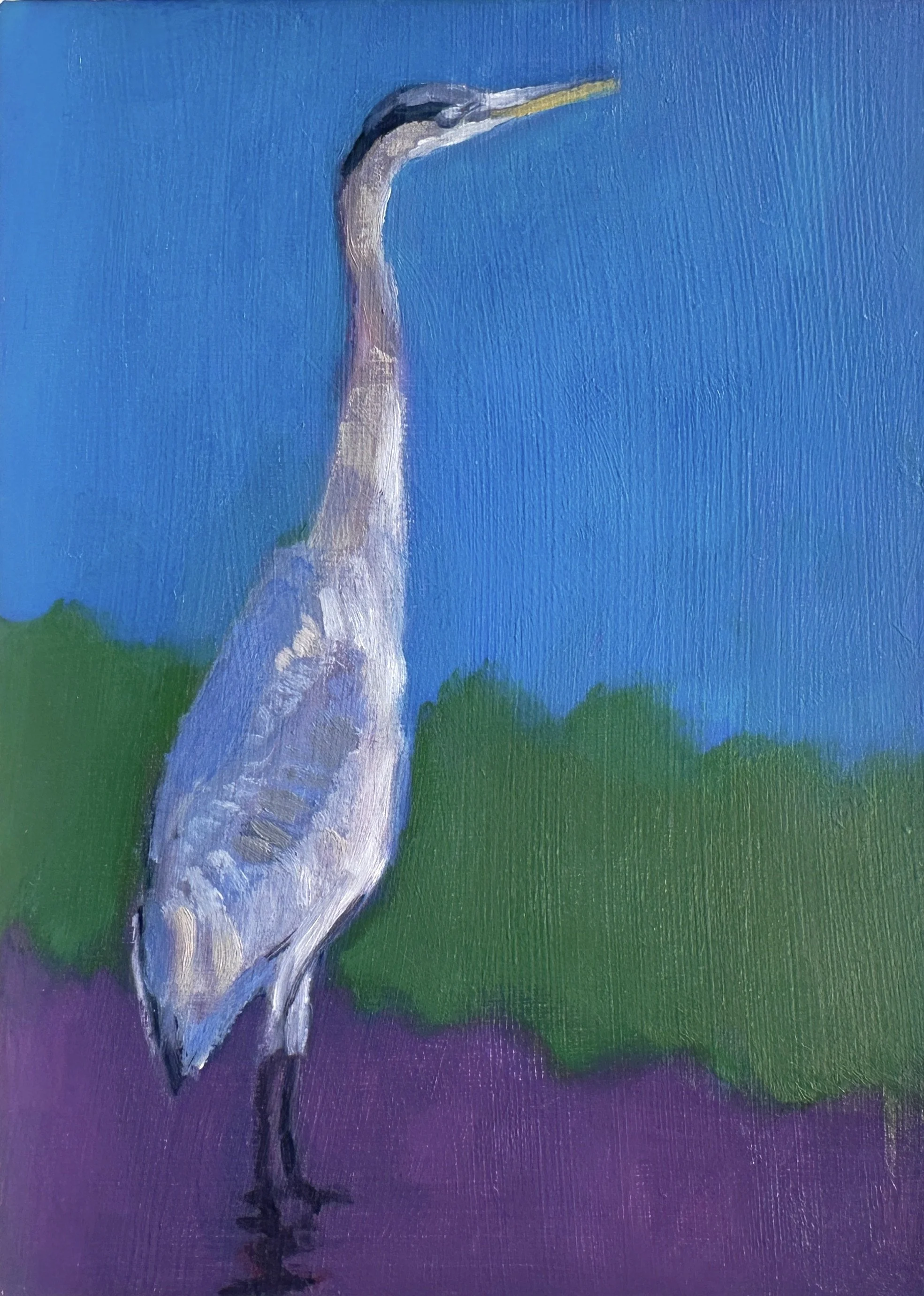 Great Blue Heron  7" x 5"  oil on wood panel