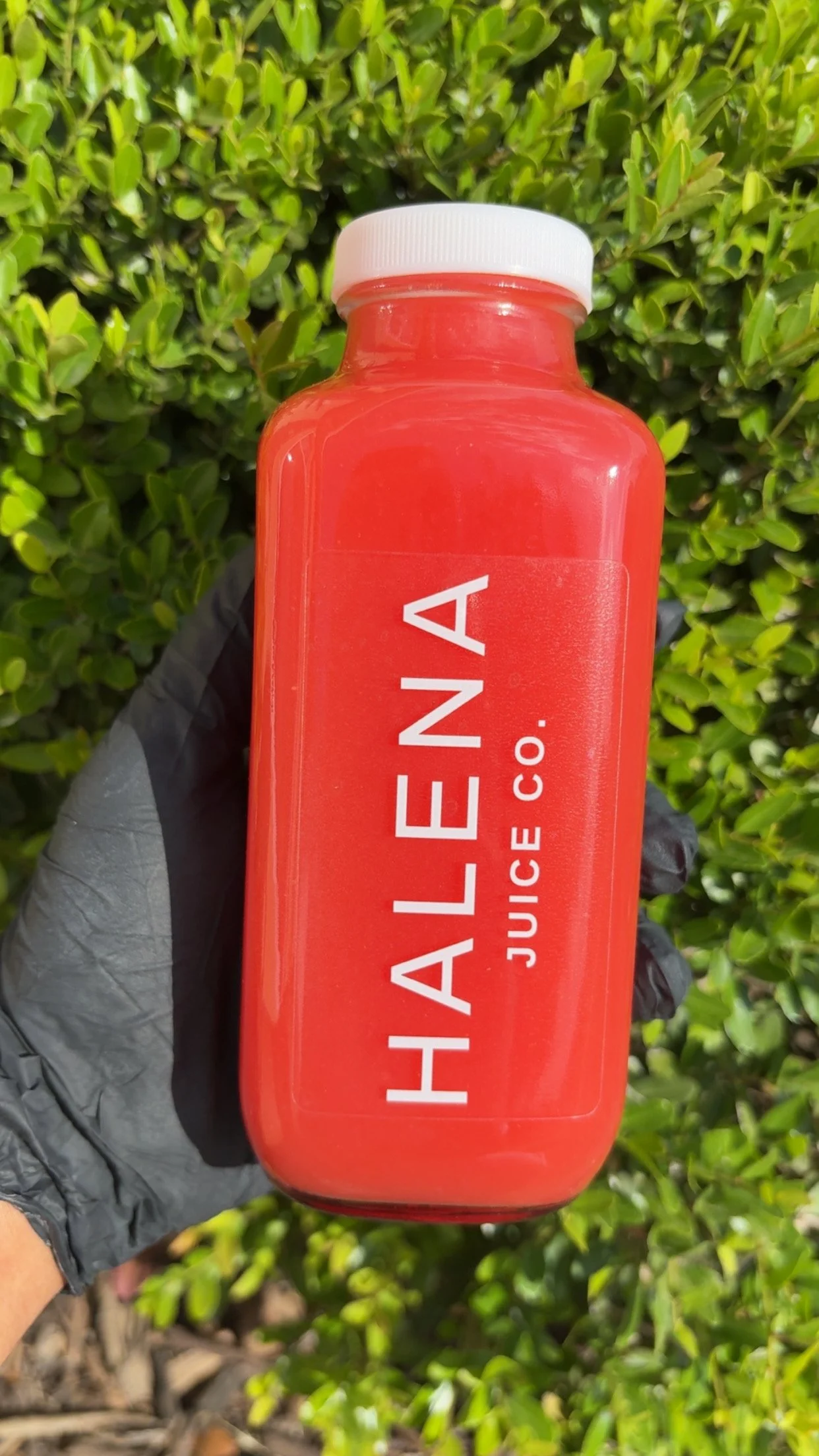 hydrate & flow
