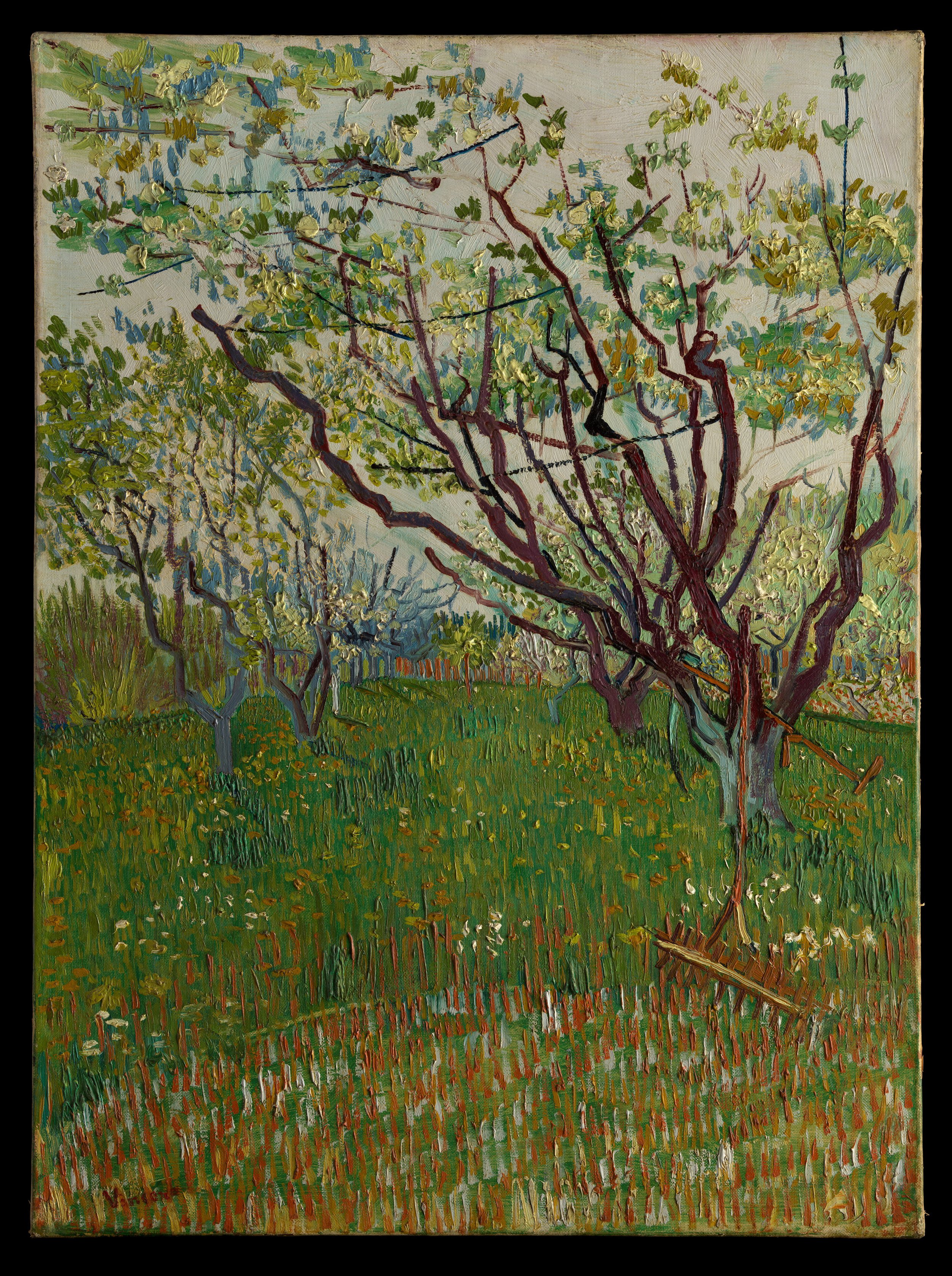 Impressionist painting of leafy trees with branches and a grassy foreground, painted with thick, textured brushstrokes and vibrant colors.