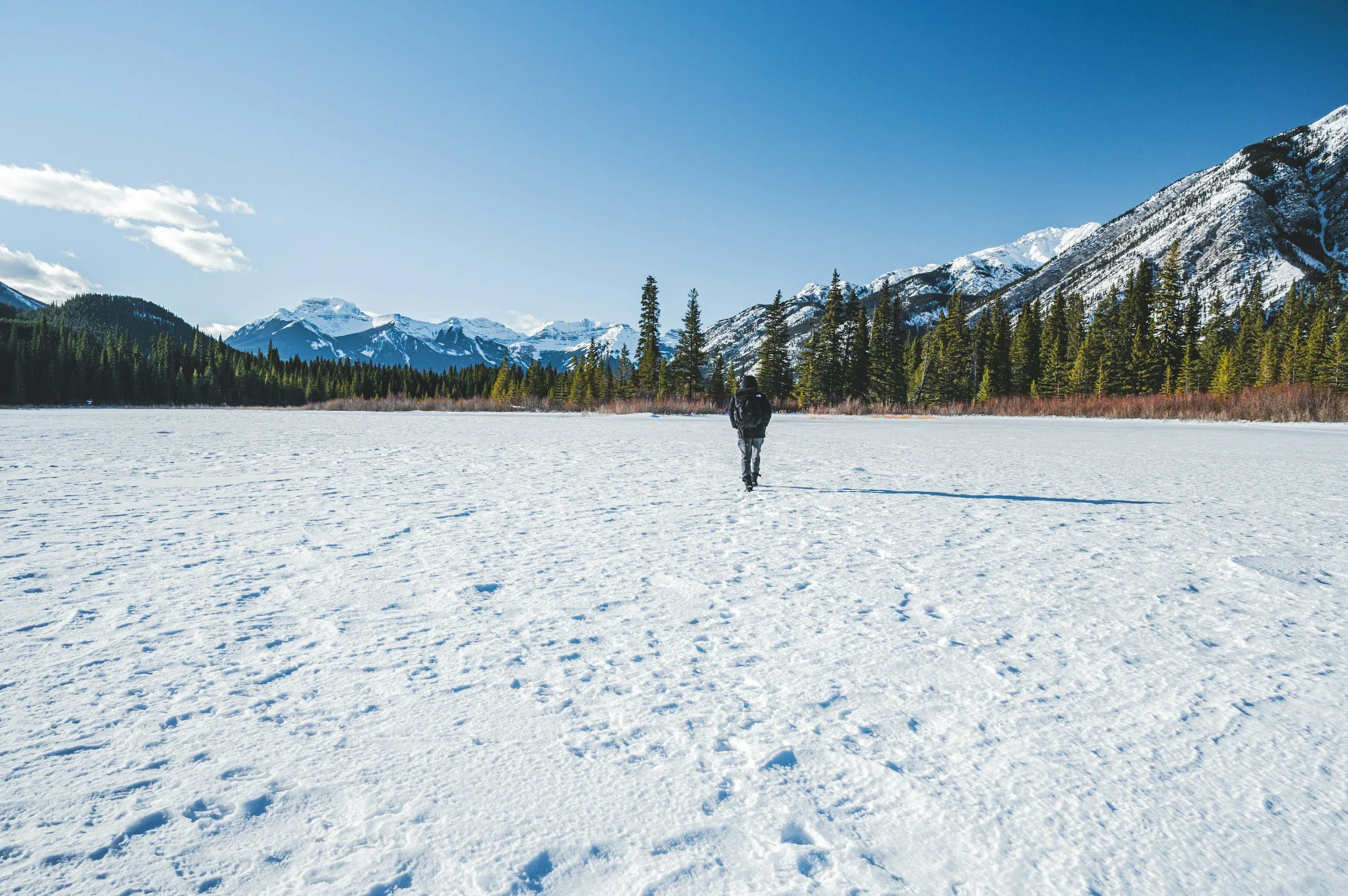 A person walking on a snow-covered plain with mountains in the background, pine trees, and a clear blue sky.