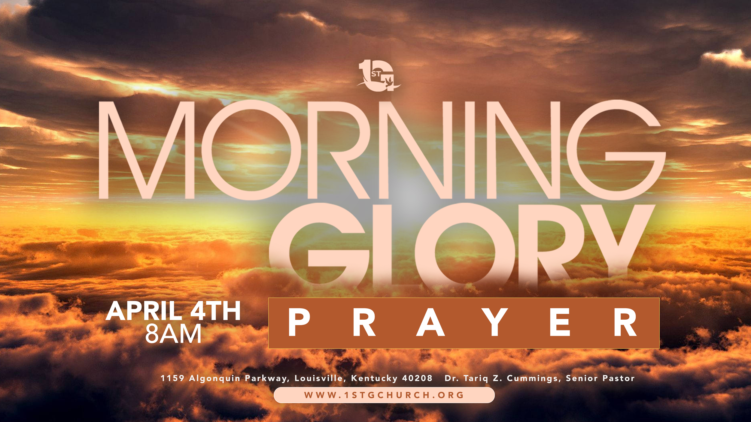 MorningGloryPromo copy.png