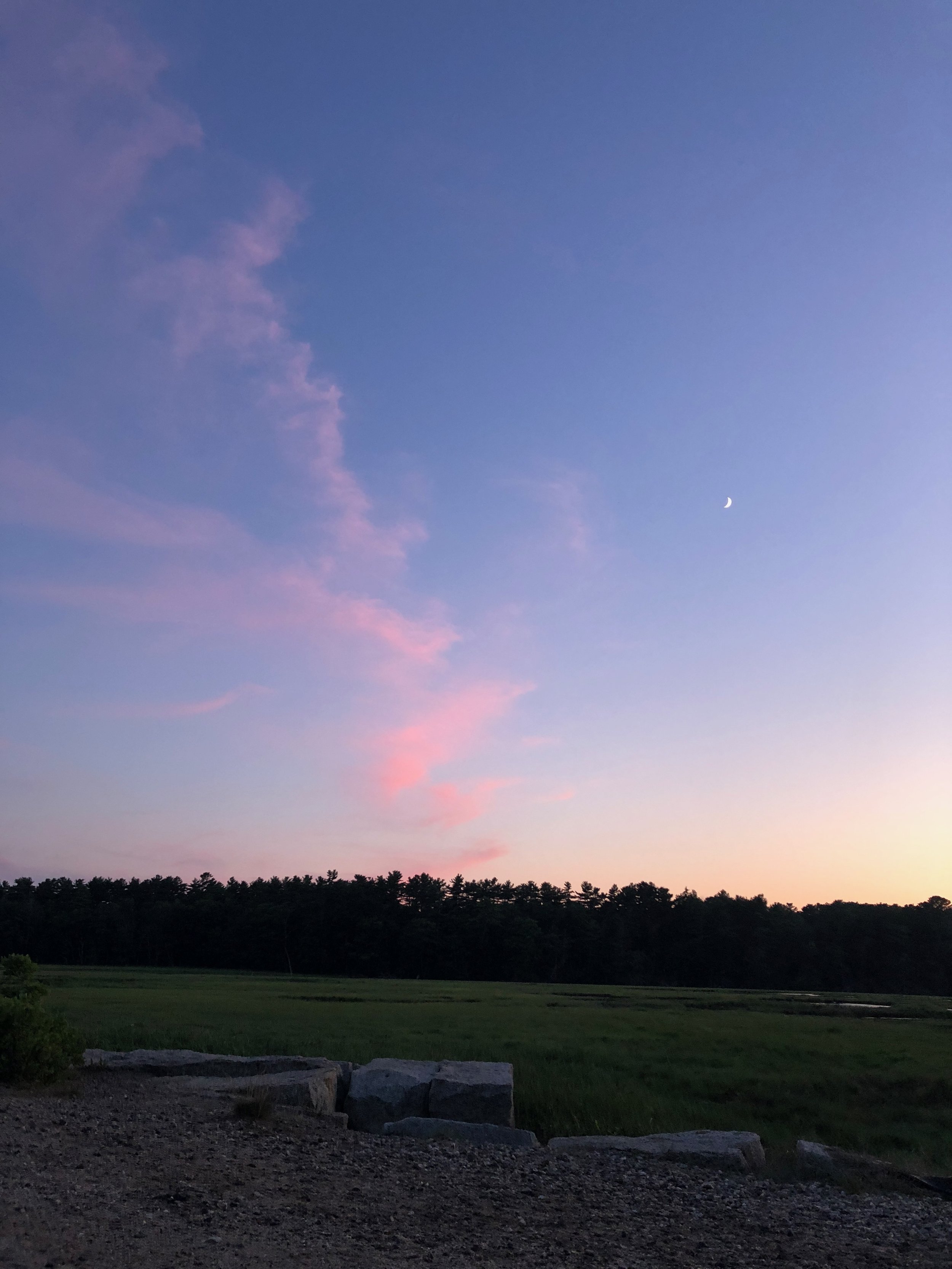 Dusk sky with a crescent moon, pink and purple clouds, a tree-lined horizon, and a grassy field with rocks in the foreground.
