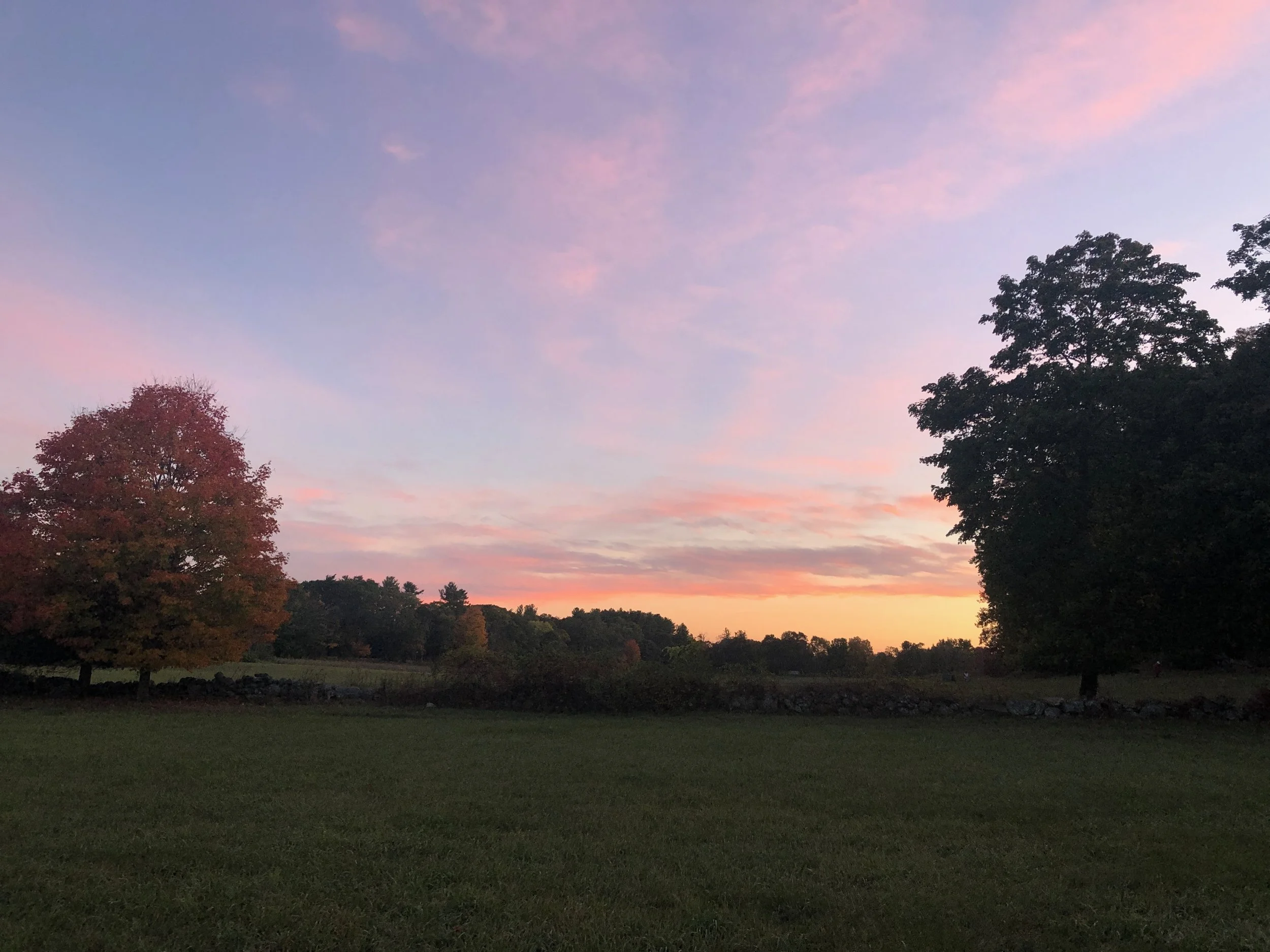 A landscape scene of a grassy field with trees on the edges during sunset or sunrise, with a sky filled with pink and purple clouds.