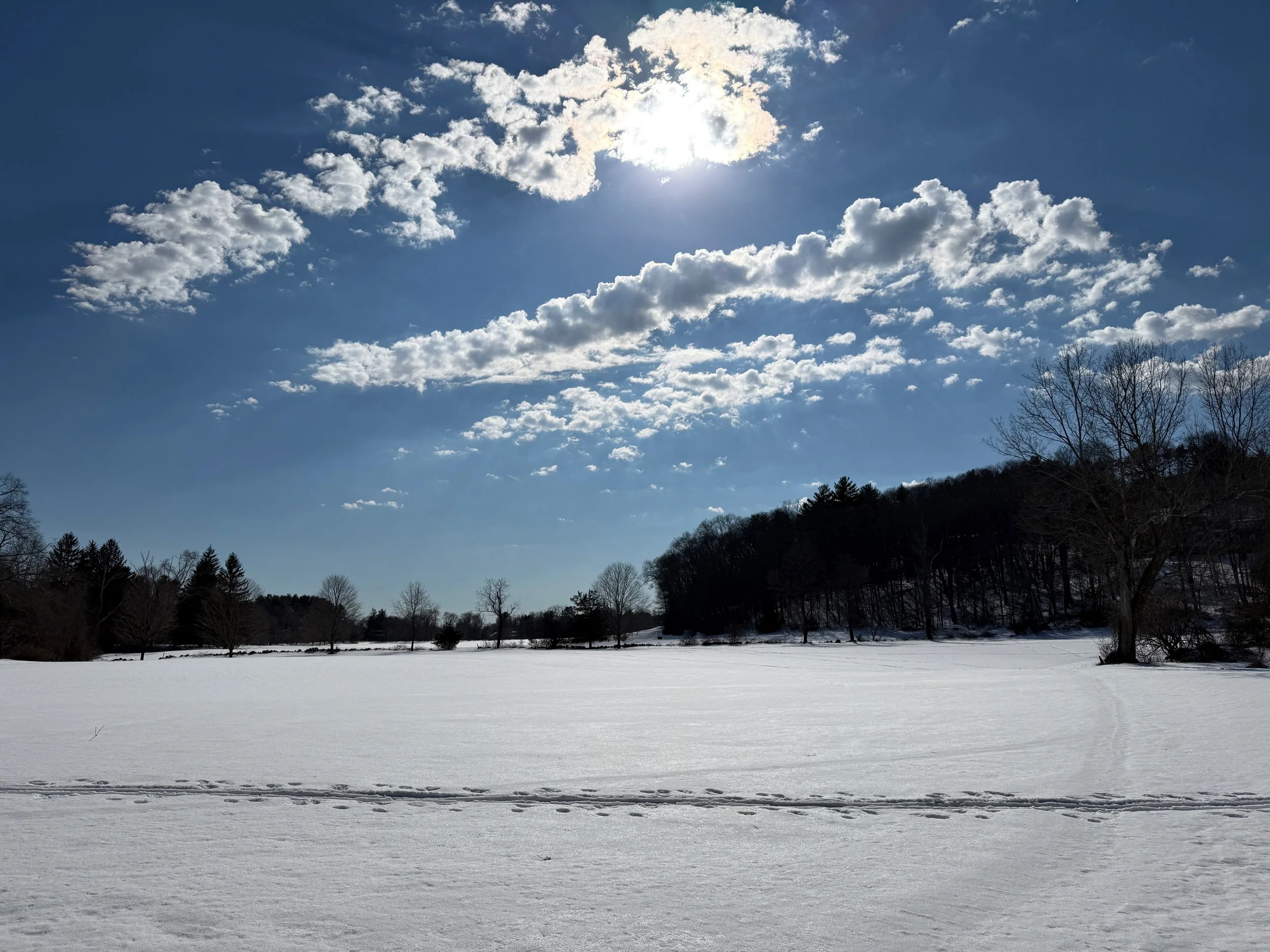 Snow-covered field with a line of trees and a forested hill in the distance under a partly cloudy sky with the sun shining through the clouds.