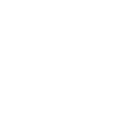 Silver Sun