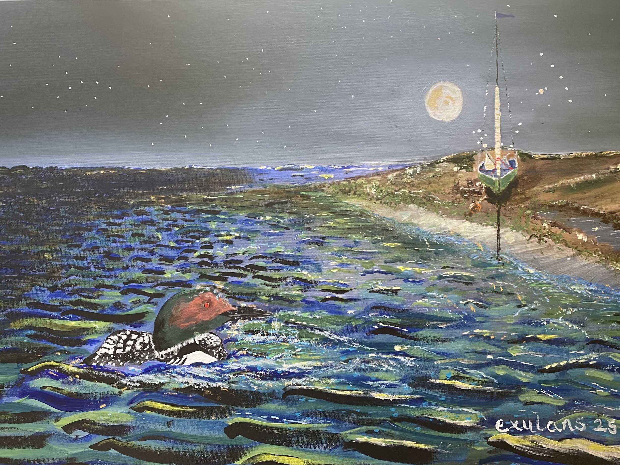 Great northern diver