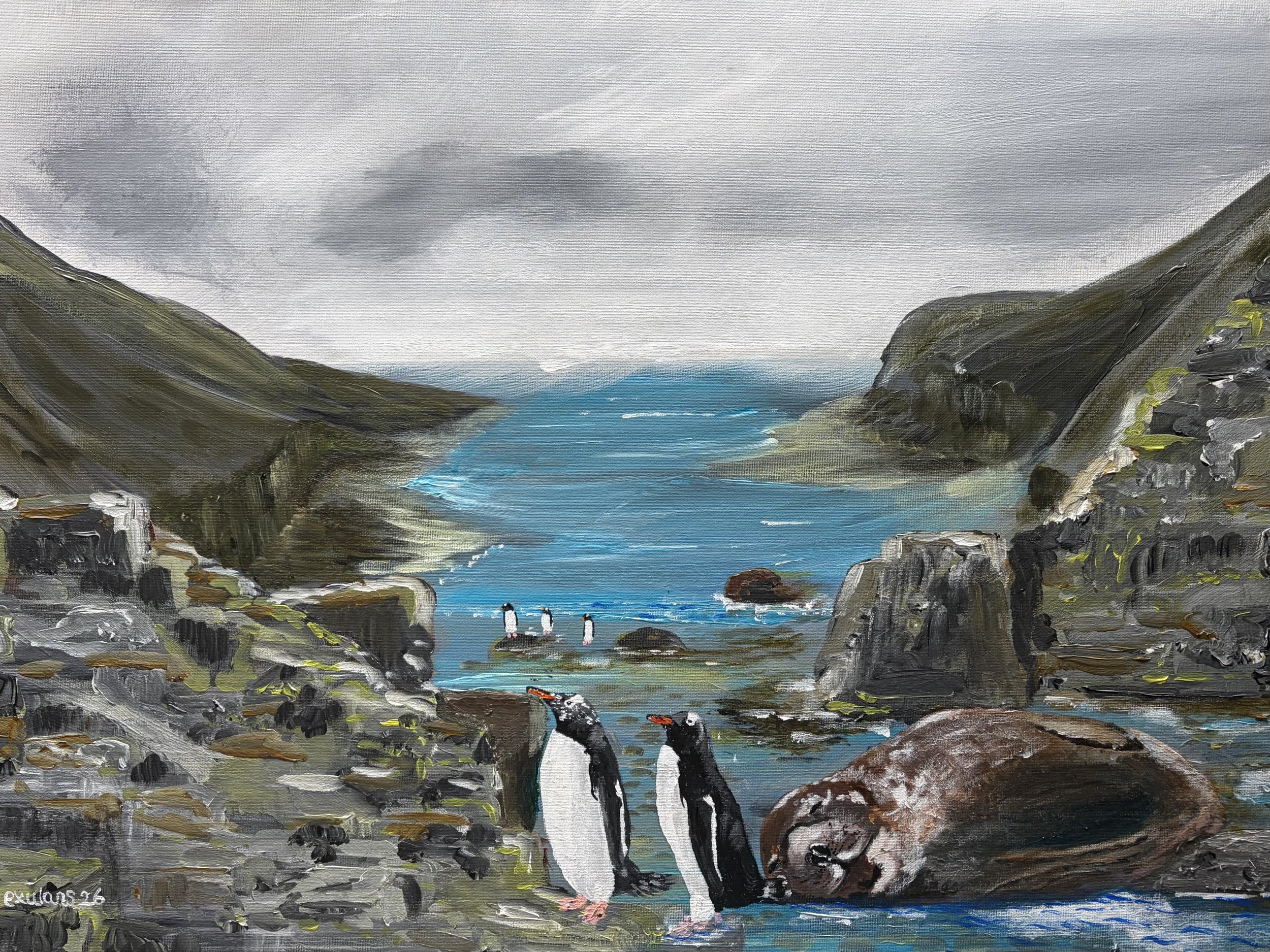 Shelter from the storm