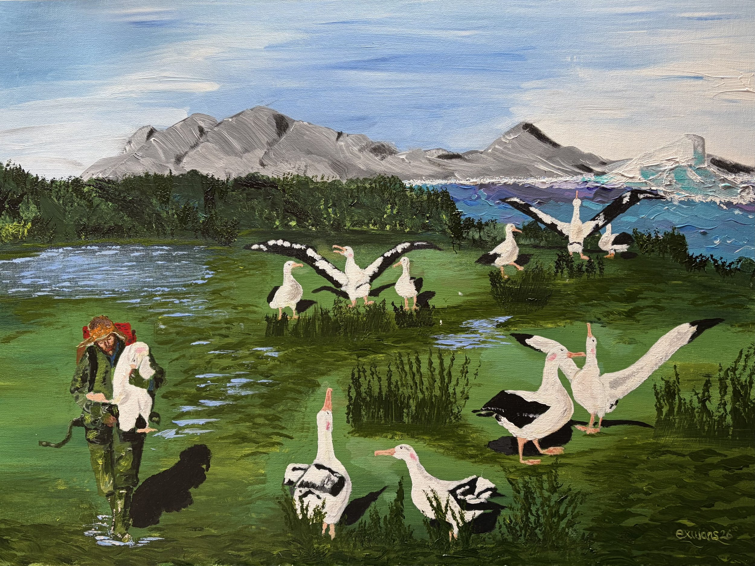 Working with albatrosses.