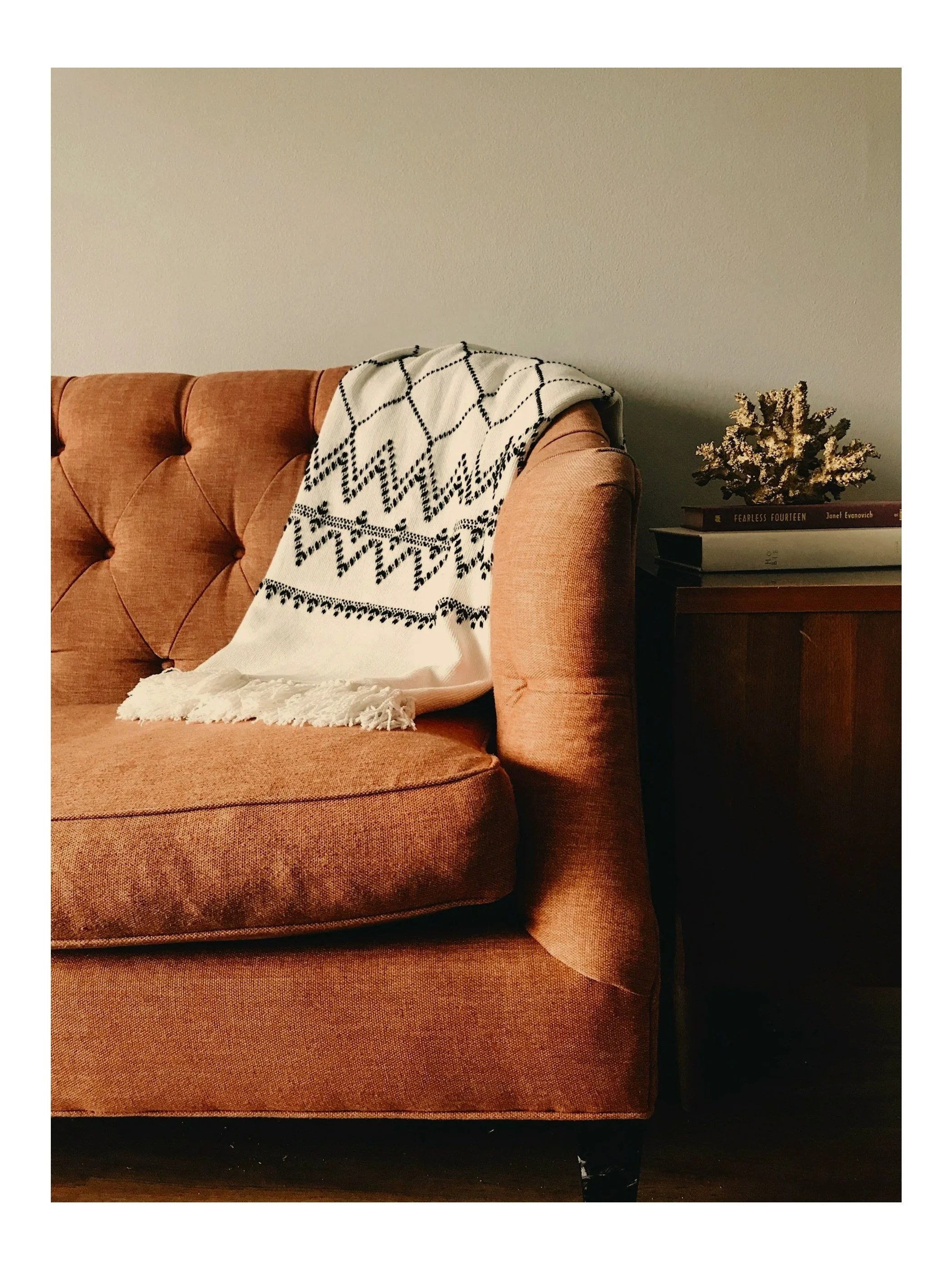 Sofá rosado antigo com uma manta branca com detalhes pretos e uma pilha de livros ao lado, incluindo um de título Fearless Fourteen, e uma planta seca.