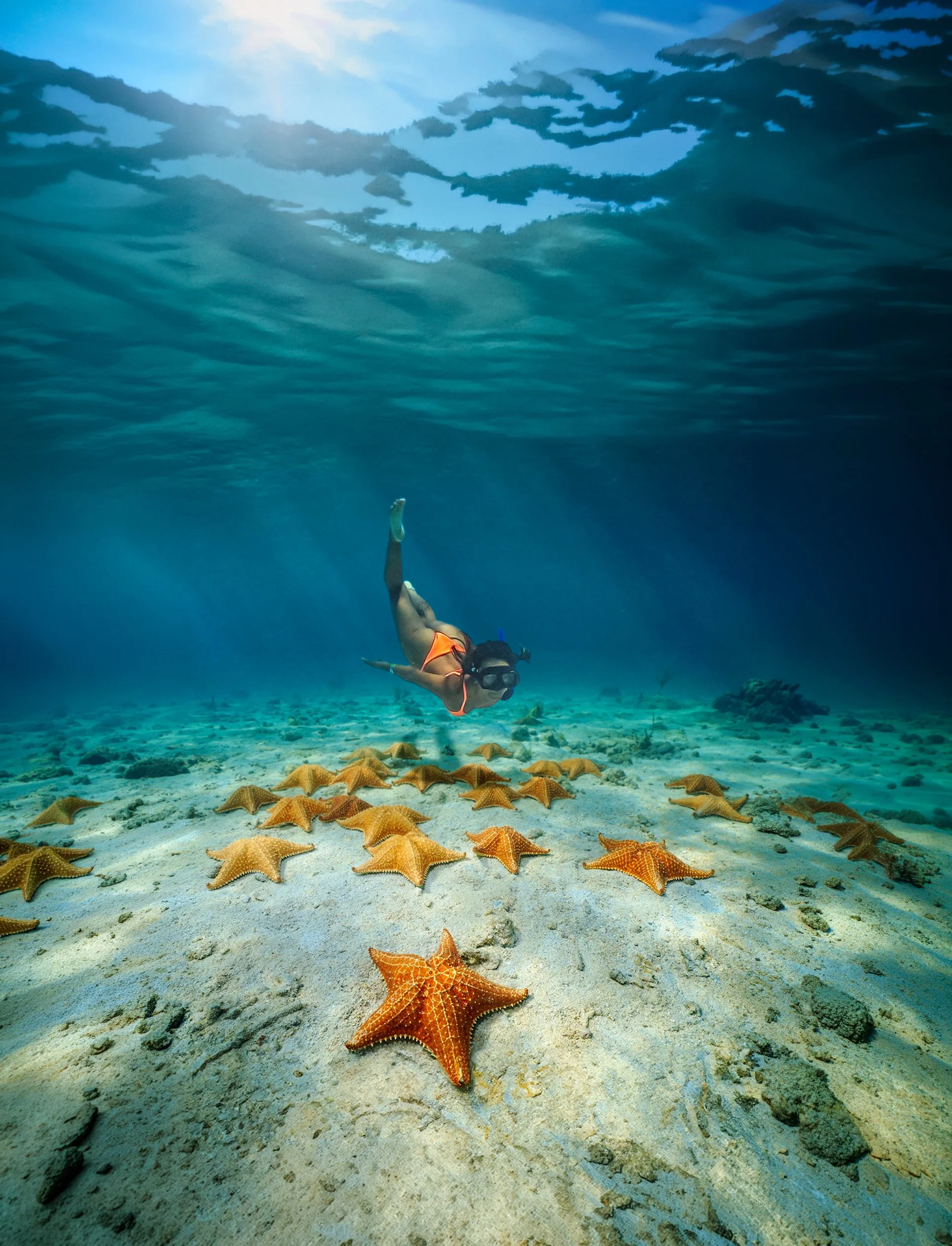 A woman scuba diving underwater near starfish on the ocean floor.