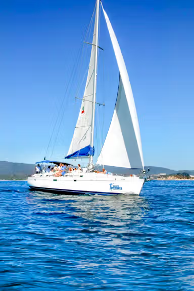 LUXURY SAILING