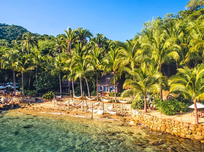 Tropical beach scene with clear water, palm trees, and a small thatched-roof building.