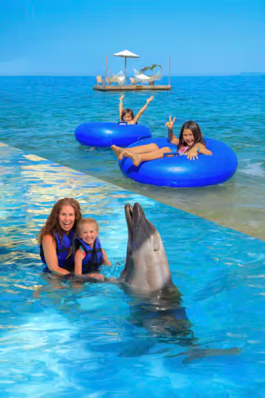 LAS CALETAS + DOLPHINS
