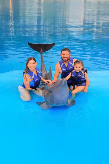 CABO DOLPHIN ENCOUNTER