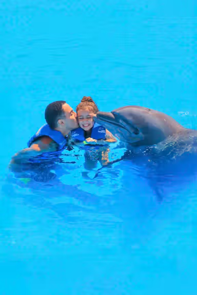 FAMILY CABO DOLPHIN EXPERIENCE