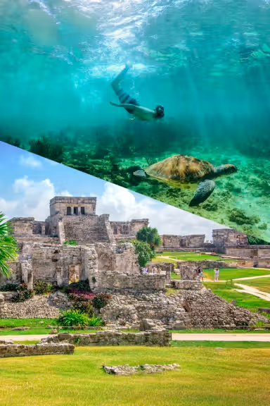 TULUM, TURTLES & CENOTE
