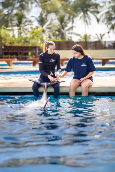 MARINE MAMMAL TRAINER FOR A DAY