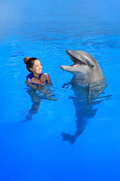 SIGNATURE CABO DOLPHIN SWIM​