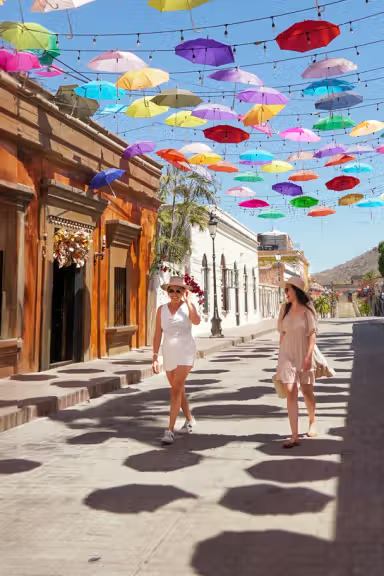 MAGICAL TODOS SANTOS & CAMELS