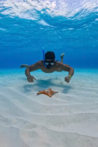 EL CIELO COZUMEL SNORKELING