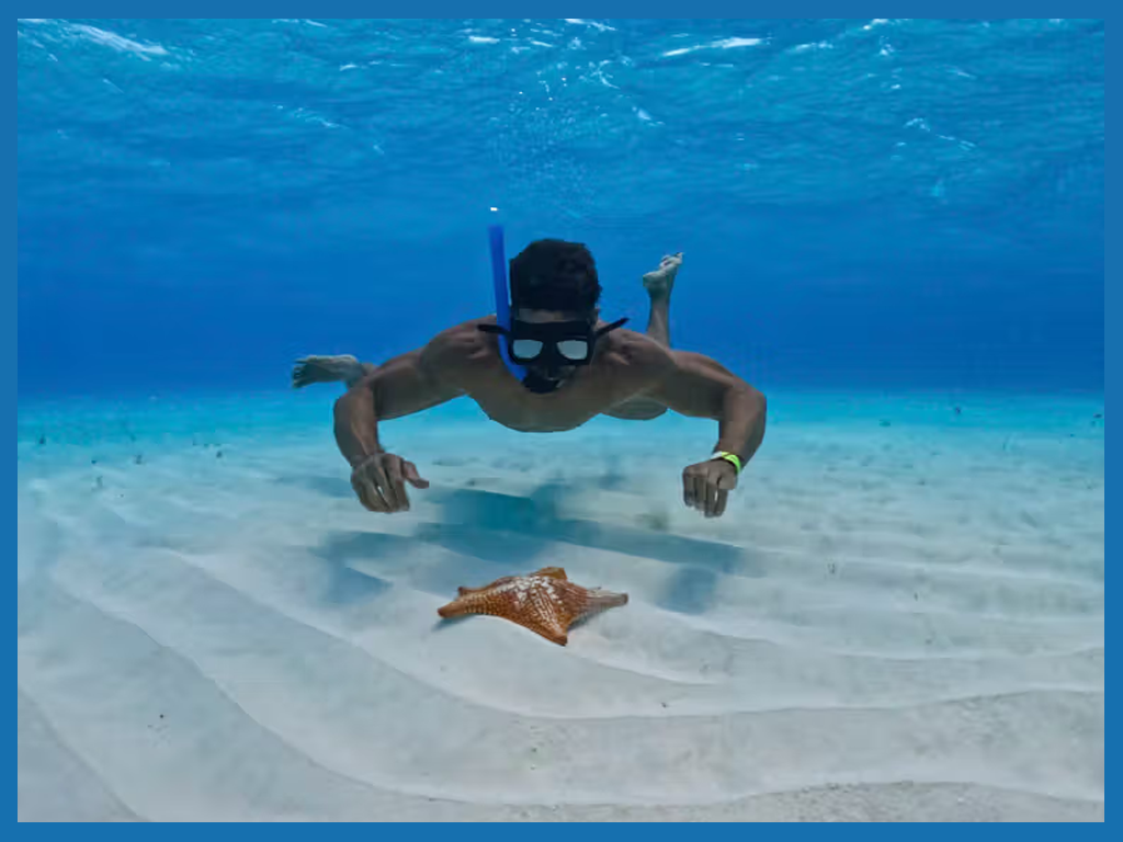 EL CIELO COZUMEL SNORKELING