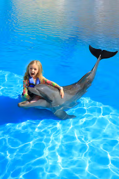 DOLPHIN KIDS