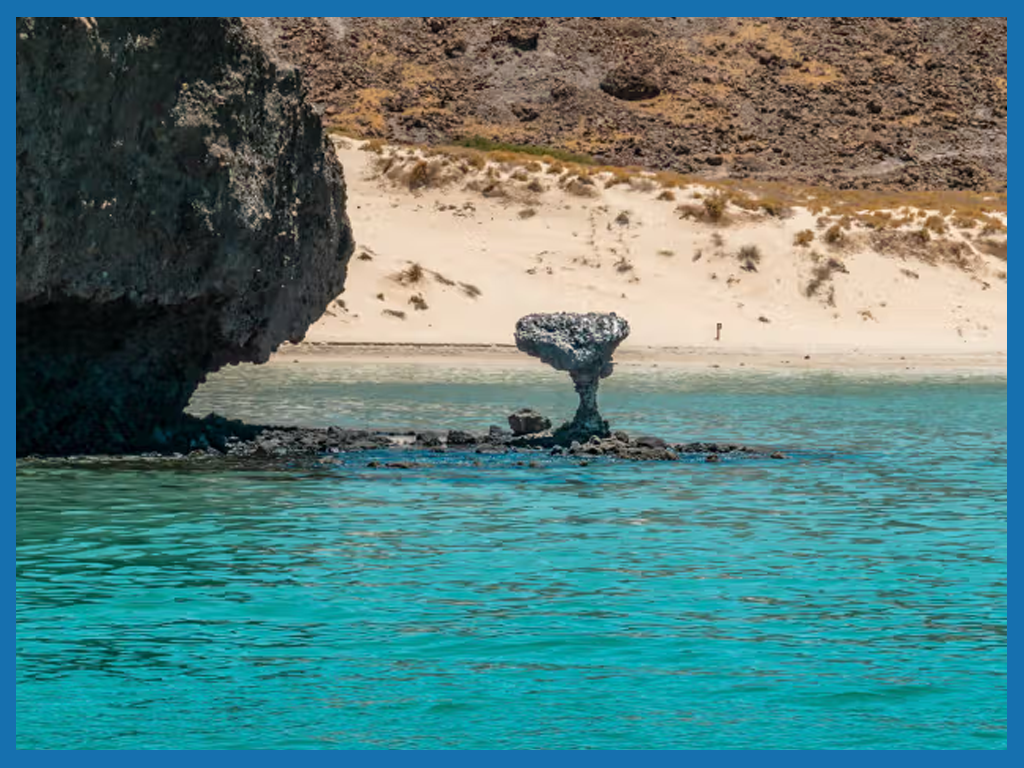 BALANDRA BEACH & LA PAZ SNORKELING