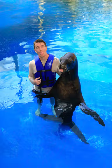SEA LION ENCOUNTER
