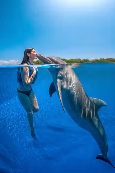 DOLPHIN ADVENTURES