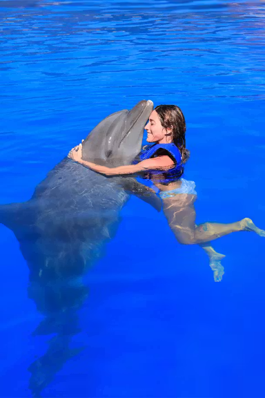 PREMIUM CABO SWIM WITH DOLPHINS​